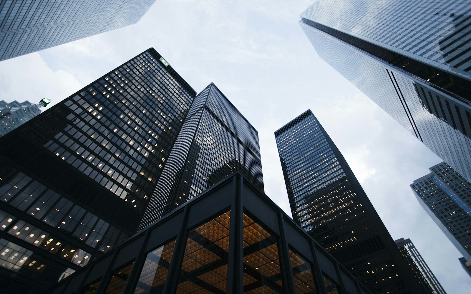 Civic-scale buildings viewed from street level