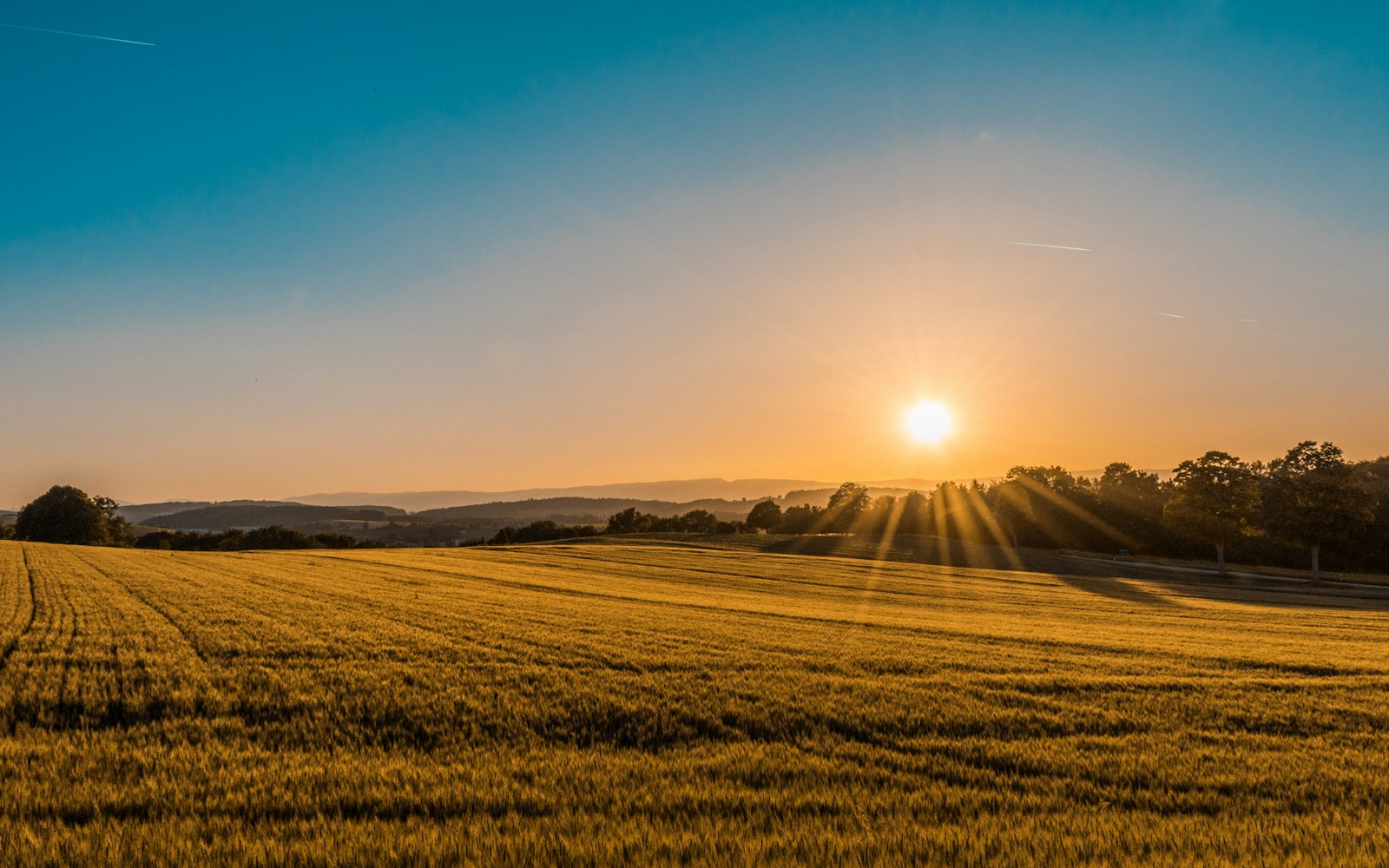 Open land prepared for long-term planning